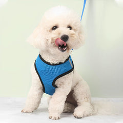 Kuber Industries Reflective Dog Harness with Adjustable Leash|Breathable Polyester Mesh Fabric with Top carry Handle|Small Size|HAT-818|Comfortable No-Pull Grip|Quick Release Buckles|Blue (Pack of 3)