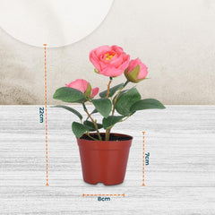 Kuber Industries Artificial Plants for Home Décor|Natural Looking Indoor Fake Plants with Pot|Artificial Flowers for Decoration-Pack of 4 (Pink)