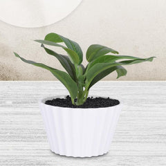 Kuber Industries Artificial Plants for Home Décor|Natural Looking Indoor Fake Plants with Pot|Artificial Flowers for Decoration-Pack of 5 (Green)