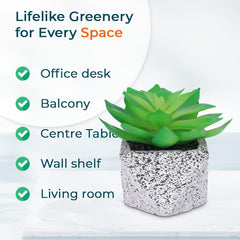 Kuber Industries Artificial Plants for Home Décor|Natural Looking Indoor Fake Plants with Pot|Artificial Flowers for Decoration-Pack of 2 (Green)