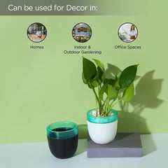 Kuber Industries Flower Pot | Flower Planter Pots for Indoor | Flower Pots for Outdoor | Pot for Garden & Balcony Flowering | Self Watering Flower Pot | GHBIB4..| Pack of 12 | Multi