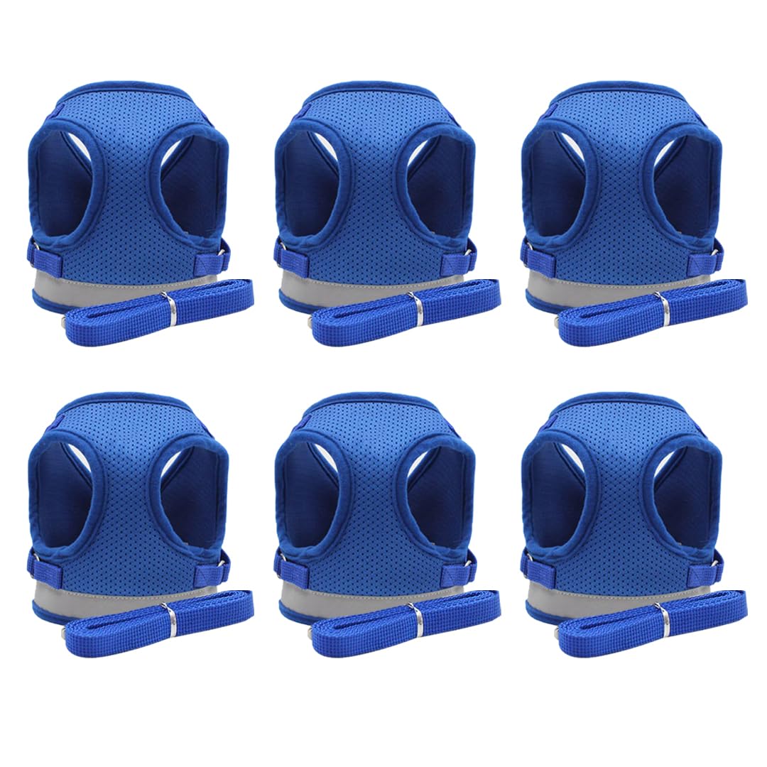 Kuber Industries Reflective Dog Harness with Adjustable Leash|Breathable Polyester Mesh Fabric |Medium Size|HT-844|Comfortable No-Pull Grip|Quick Release Buckles|Easy On-Off Harness|Blue (Pack of 6)