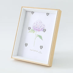 Kuber Industries Photo Frame For Home Décor|Use Horizontal & Vertical|Crystal Clear Glass|Perfect For Home, Office And Shop "16.7x21.8CM"-Pack of 5 (Natural)