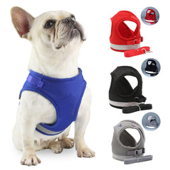 Kuber Industries Reflective Dog Harness with Adjustable Leash|Breathable Polyester Mesh Fabric |Small Size|HT-844|Comfortable No-Pull Grip|Quick Release Buckles|Easy On-Off Harness|Black (Pack of 3)