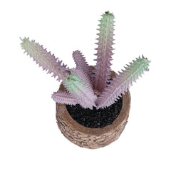 Kuber Industries Artificial Plants for Home Décor|Natural Looking Indoor Fake Plants with Pot|Artificial Flowers for Decoration-Pack of 2 (Lavender)
