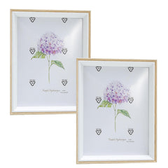 Kuber Industries Photo Frame For Home D�cor|Use Horizontal & Vertical|Crystal Clear Glass|Perfect For Home, Office And Shop "16.7x21.8CM"-Pack of 2 (Natural)