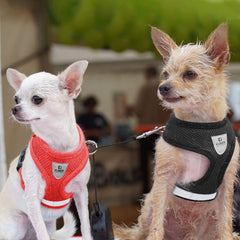 Kuber Industries 2 in 1 double Hook leash and 2 Dog Chest Harness with Nylon Leash I Strong Dog Rope Leash with Comfortable Padded Handle | No Pull, Soft Padded and Breathable Dog Vest I Adjustable, Reflective I Easy Control Dog Chest Belt (Black, XL)