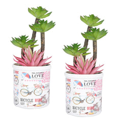 Kuber Industries Artificial Plants for Home Décor|Natural Looking Indoor Fake Plants with Pot|Artificial Flowers for Decoration-Pack of 2 (Pink & Green)