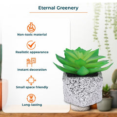 Kuber Industries Artificial Plants for Home Décor|Natural Looking Indoor Fake Plants with Pot|Artificial Flowers for Decoration-Pack of 2 (Green)