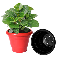 Kuber Industries Solid 2 Layered Plastic Flower Pot|Gamla for Home Decor,Nursery,Balcony,Garden,8"x 6",Pack of 3 (Red & Black & Orange)
