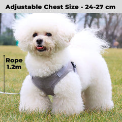 Kuber Industries Reflective Dog Harness With Adjustable Leash|Breathable Polyester Mesh Fabric |XS Size|HT-844|Comfortable No-Pull Grip|QuickRelease Buckles|Easy On - Easy Off Harness|Grey (Pack Of 4)