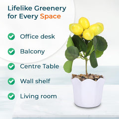 Kuber Industries Artificial Plants for Home D�cor|Natural Looking Indoor Fake Plants with Pot|Artificial Flowers for Decoration-Pack of 6 (Yellow)