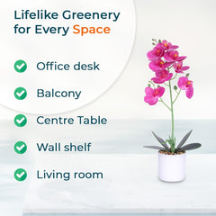 Kuber Industries Artificial Plants for Home D?cor|Natural Looking Indoor Fake Plants with Pot|Artificial Flowers for Decoration-Pack of 6 (Pink)