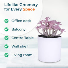 Kuber Industries Artificial Plants for Home Décor|Natural Looking Indoor Fake Plants with Pot|Artificial Flowers for Decoration-Pack of 2 (Lavender)