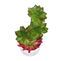 Kuber Industries Artificial Plants for Home Décor|Natural Looking Indoor Fake Plants with Pot|Artificial Flowers for Decoration-Pack of 2 (Pink & Green)
