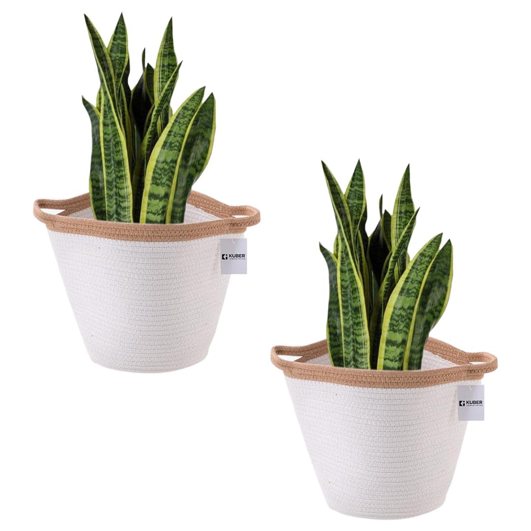 Kuber Industries Cotton Woven Storage Basket With Handle|Shelf Basket Hamper|Organizer for Toys, Socks, Cosmetic|Capacity 21 L|Pack Of 6|White|