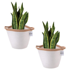 Kuber Industries Cotton Woven Storage Basket With Handle|Shelf Basket Hamper|Organizer for Toys, Socks, Cosmetic|Capacity 21 L|Pack Of 6|White|