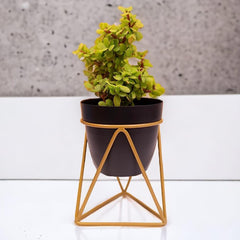 Heart Home Planter | Planter Pot Stand for Outdoor | Planter Stand for Garden | Plant Stand for Home | Gamla Stand for Home | Metal Indoor Pots with Drainage Hole | Set of 1 | Black