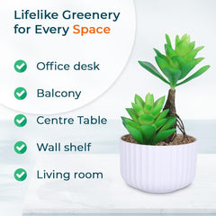 Kuber Industries Artificial Plants for Home D?cor|Natural Looking Indoor Fake Plants with Pot|Artificial Flowers for Decoration-Pack of 6 (Green)