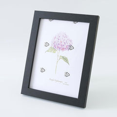 Kuber Industries Photo Frame For Home D?cor|Use Horizontal & Vertical|Crystal Clear Glass|Perfect For Home, Office And Shop "16.7x21.8CM"-Pack of 5 (Black)