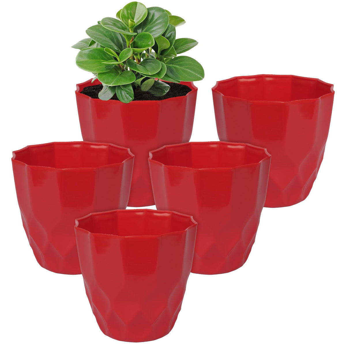 Heart Home Flower Pot | Flower Planter Pots for Indoor | Flower Pots for Outdoor | Pot for Garden & Balcony Flowering | Flower Plants Pot | Barfi Flower Pot | 6 Inch | Pack of 5 | Red