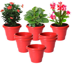 Kuber Industries Solid 2 Layered Plastic Flower Pot|Gamla for Home Decor,Nursery,Balcony,Garden,6"x5",Pack of 8 (Red)