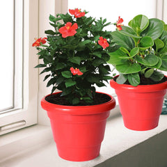 Kuber Industries Solid 2 Layered Plastic Flower Pot|Gamla for Home Decor,Nursery,Balcony,Garden,8"x 6",Pack of 4 (Red)