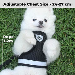 Kuber Industries Reflective Dog Harness With Adjustable Leash|Breathable Polyester Mesh Fabric |XS Size|HT-844|Comfortable No-Pull Grip|Quick Release Buckles|Easy On-Easy Off Harness|Black (Pack Of 6)