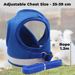 Kuber Industries Reflective Dog Harness With Adjustable Leash|Breathable Polyester Mesh Fabric |XS Size|HT-844|Comfortable No-Pull Grip|QuickRelease Buckles|Easy On - Easy Off Harness|Blue (Pack Of 4)