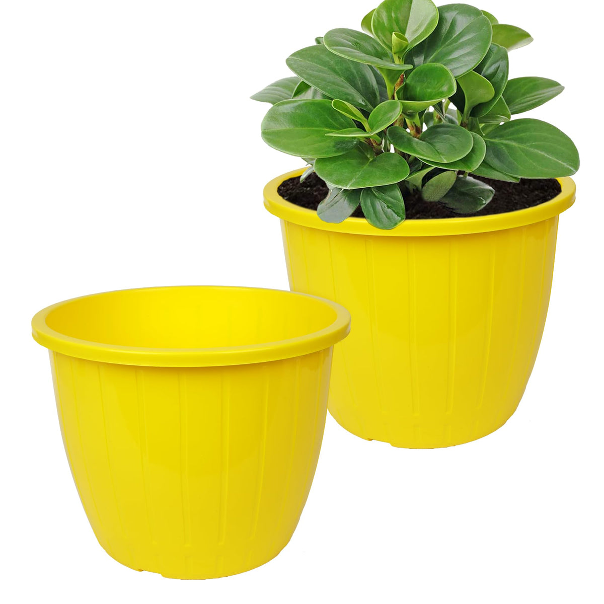 Heart Home Flower Pot | Flower Pots for Indoor & Outdoor | Plastic Pot for Gardening | Planter for Flower | Balcony Flower Pot with Drain Holes | Duro Flower Pot | 6 Inch | Pack of 2 | Yellow