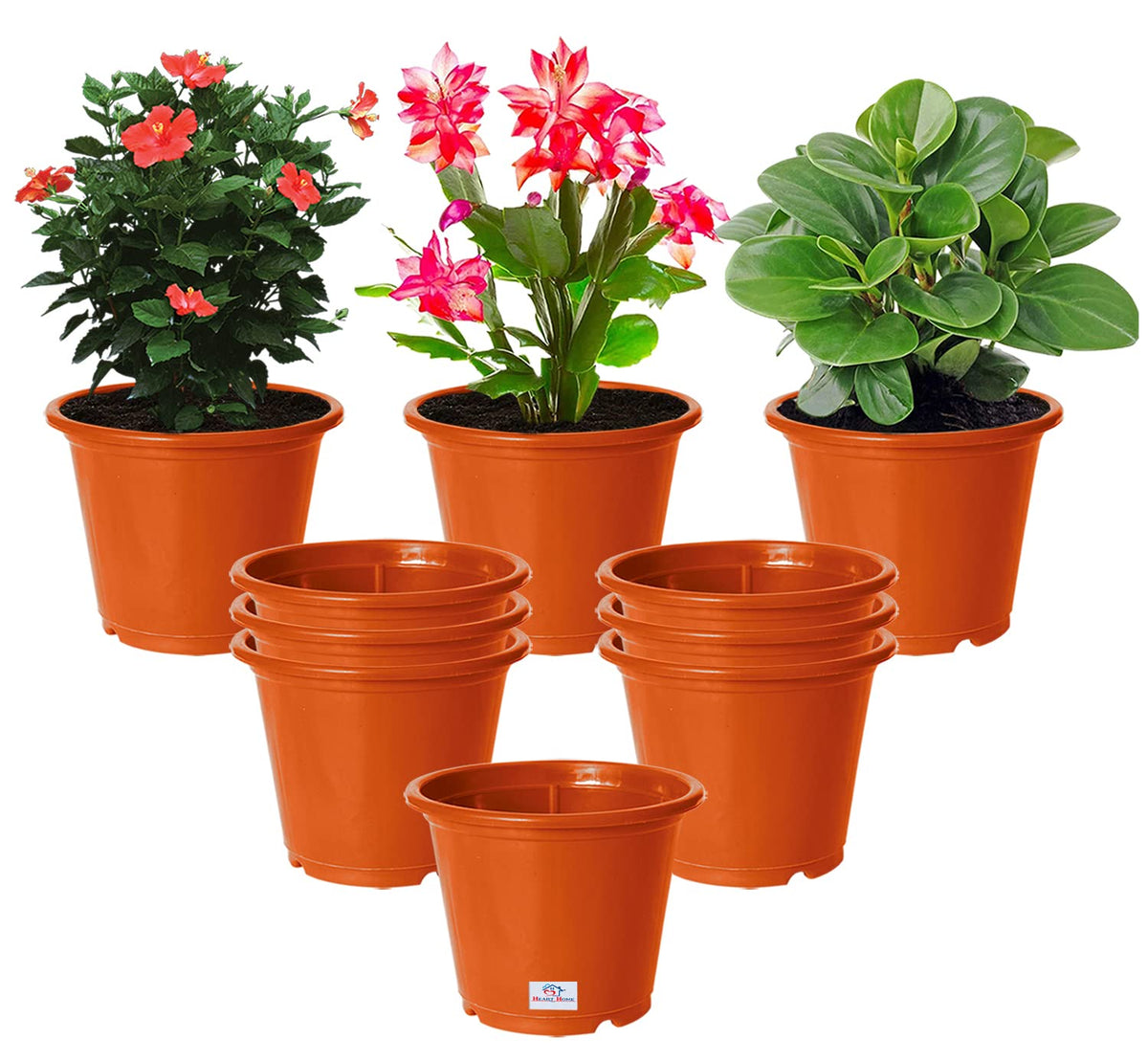 Heart Home Plastic Planters|Gamla|Flower Pots for Garden Nursery Home Décor,8"x6",Pack of 10 (Orange)