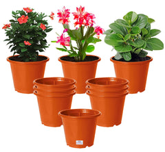 Heart Home Plastic Planters|Gamla|Flower Pots for Garden Nursery Home Décor,8"x6",Pack of 10 (Orange)