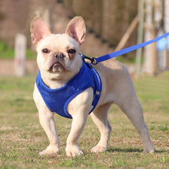 Kuber Industries Reflective Dog Harness With Adjustable Leash|Breathable Polyester Mesh Fabric |XL Size|HT-844|Comfortable No-Pull Grip|QuickRelease Buckles|Easy On - Easy Off Harness|Blue (Pack Of 6)