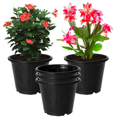 Kuber Industries Plastic Planters|Gamla|Flower Pots for Garden Nursery Home Décor,8"x6",Pack of 5 (Black)