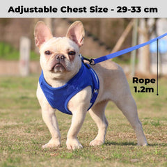 Kuber Industries Reflective Dog Harness with Adjustable Leash|Breathable Polyester Mesh Fabric |Small Size|HT-844|Comfortable No-Pull Grip|Quick Release Buckles|Easy On-Off Harness|Blue (Pack of 2)