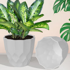 Heart Home Flower Pot | Flower Planter Pots for Indoor | Flower Pots for Outdoor | Pot for Garden & Balcony Flowering | Flower Plants Pot | Barfi Flower Pot | 6 Inch | Pack of 5 | Multi