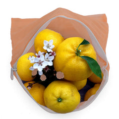 Kuber Industries 24 Pieces Reusable Mesh Fridge Storage Bags for Fruits and Vegetables (Multi)-KUBMART2841