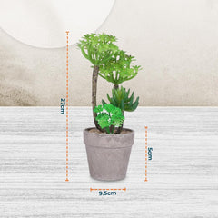 Kuber Industries Artificial Plants for Home Décor|Natural Looking Indoor Fake Plants with Pot|Artificial Flowers for Decoration-Pack of 2 (Green)