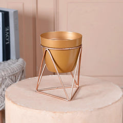 Homestic Planter | Planter Stand for Garden | Plant Stand for Home | Planter Pot Stand for Outdoor | Gamla Stand for Home | Metal Indoor Pots with Drainage Hole | Set of 1 | Gold