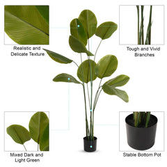 Kuber Industries Arrowroot Artificial Tree | Artificial Silk Palm Tree | 180 CM Fake Tropical Palm Tree with Leaves | Faux Plants with Pot | Plastic | FH-ZY180 | Green