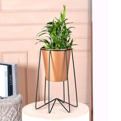 Urbane Home Planter | Planter Pot Stand for Outdoor | Plant Stand for Living Room | Gamla Stand for Home | Plant Stand for Home | Metal Pot Stand with Bucket Planter | Set of 2 | Gold