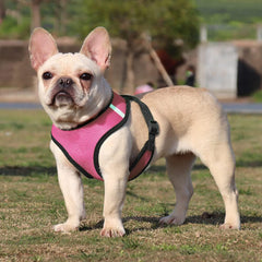 Kuber Industries Reflective Dog Harness With Adjustable Leash|Breathable Polyester Mesh Fabric With Top carry Handle|Medium Size|HAT-818|Comfortable No-Pull Grip|Quick Release Buckles|Pink (Pack Of 5)
