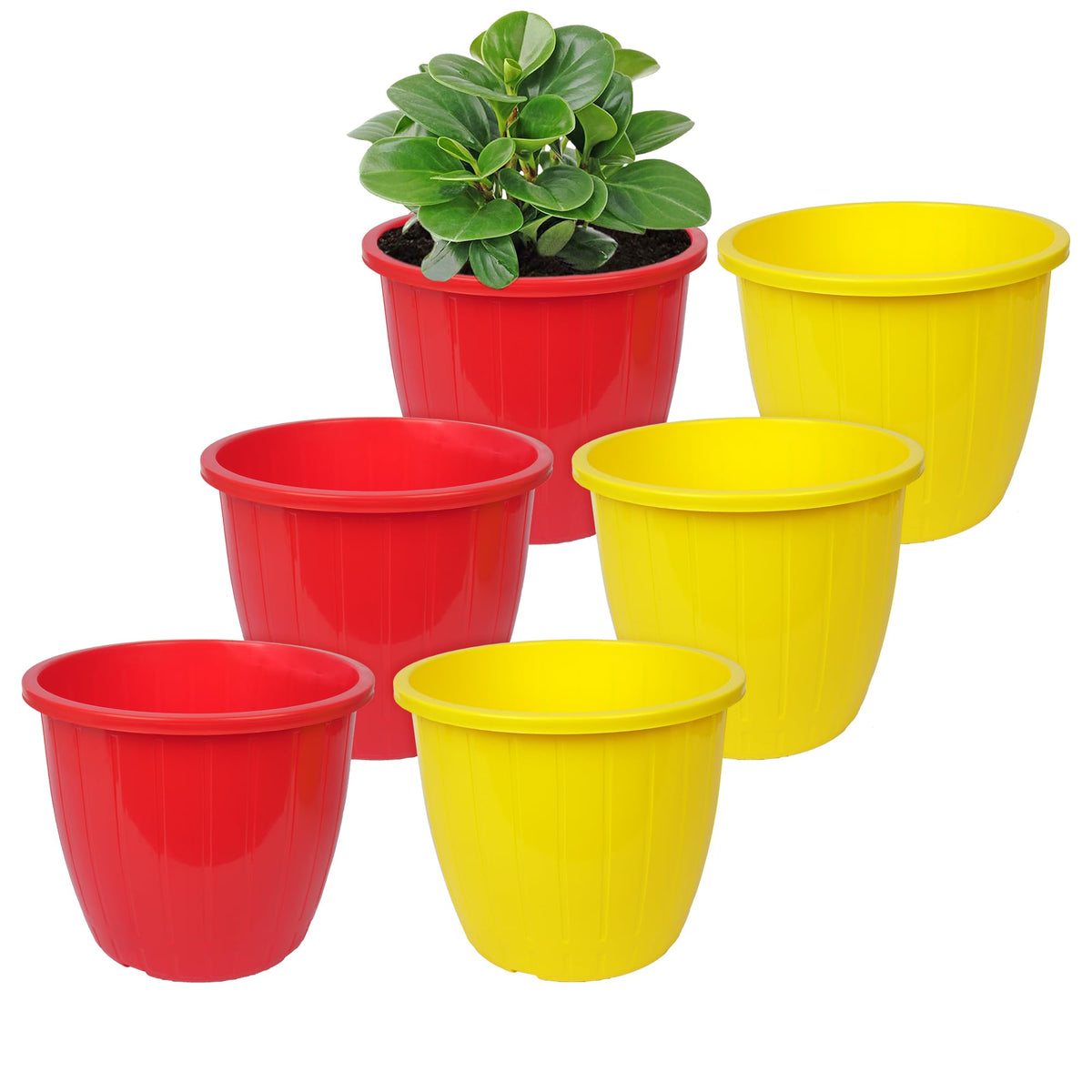 Kuber Industries Flower Pot | Flower Pots for Indoor & Outdoor | Plastic Pot for Gardening | Planter for Flower | Balcony Flower Pot with Drain Holes | Duro Flower Pot | 8 Inch | Pack of 6 | Multi