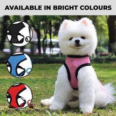 Kuber Industries Reflective Dog Harness with Adjustable Leash|Breathable Polyester Mesh Fabric with Top carry Handle|Small Size|HAT-818|Comfortable No-Pull Grip|Quick Release Buckles|Blue (Pack of 3)