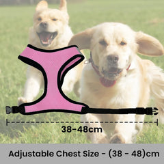 Kuber Industries Reflective Dog Harness With Adjustable Leash|Breathable Polyester Mesh Fabric With Top carry Handle|Medium Size|HAT-818|Comfortable No-Pull Grip|Quick Release Buckles|Pink (Pack Of 5)