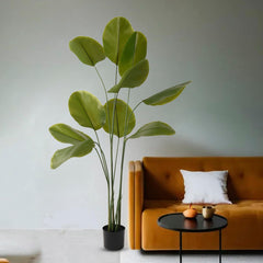 Kuber Industries Arrowroot Artificial Tree | Artificial Silk Palm Tree | 180 CM Fake Tropical Palm Tree with Leaves | Faux Plants with Pot | Plastic | FH-ZY180 | Green