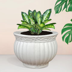 Kuber Industries Kanha Matki Flower Pot | Flower Planter Pots for Indoor | Flower Pots for Outdoor | Pot for Garden & Balcony Flowering | Flower Plants Pot | 8 Inch | White