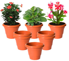 Kuber Industries Solid 2 Layered Plastic Flower Pot|Gamla for Home Decor,Nursery,Balcony,Garden,8"x 6",Pack of 8 (Orange)