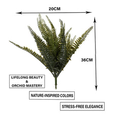 Heart Home Flowers Fern | Artificial Flowers Fern | Flower Fern Orchid for Vase Pot | Artificial Flower for Home Décor | Orchids Artificial Flower for Vase | Pack of 3 | Green