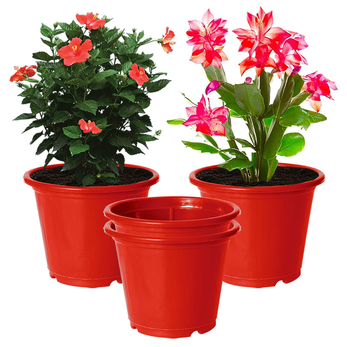 Kuber Industries Plastic Planters|Gamla|Flower Pots for Garden Nursery Home Décor,8"x6",Pack of 4 (Red)